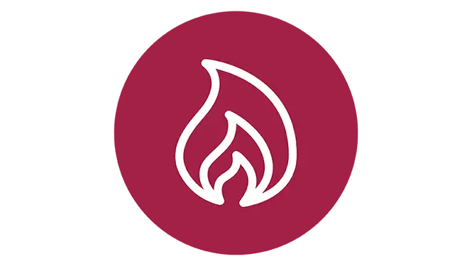 Fire Icon Filled