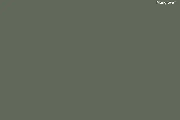 Colorbond Colours Mangrove; Original as Can B&D